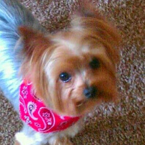 Meet your Posher, Brenda